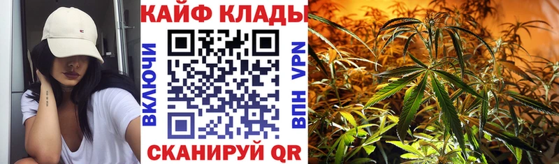 Купить наркоту Вязники Alpha PVP  Галлюциногенные грибы  КОКАИН  Марихуана 