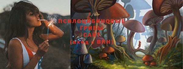 метадон Богданович