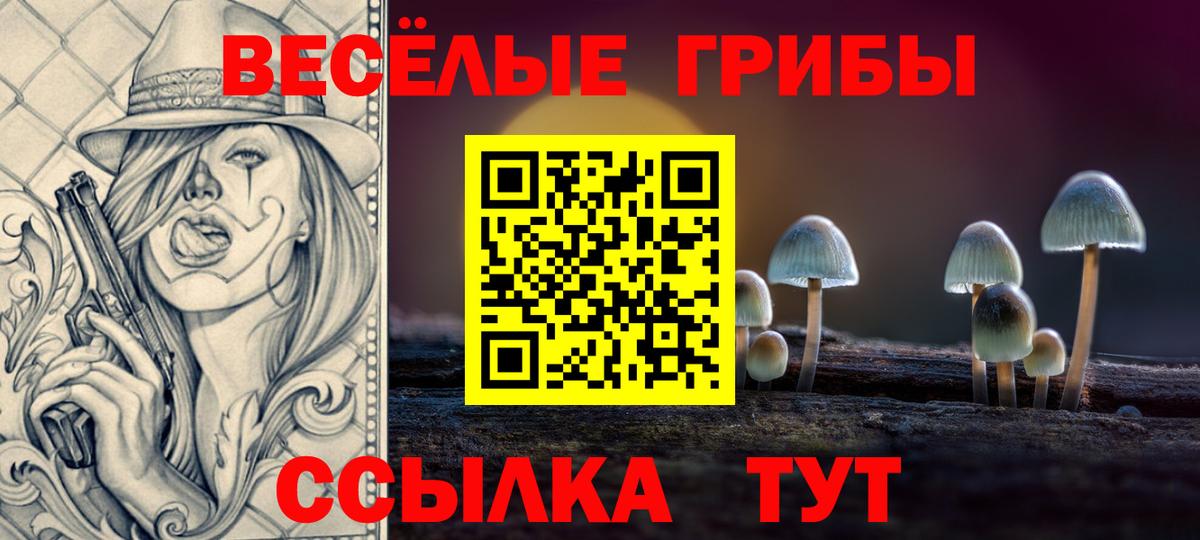 Галлюциногенные грибы GOLDEN TEACHER Вязники