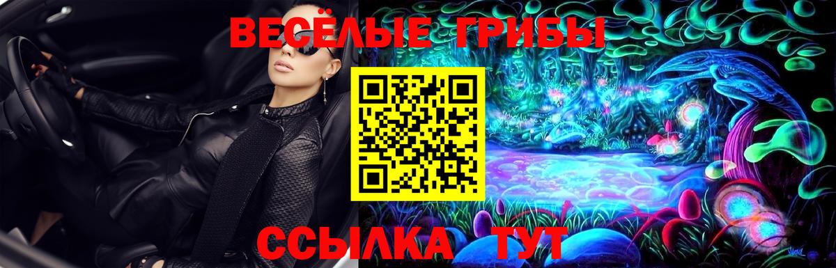 где найти   Вход с VPN  Вязники  Галлюциногенные грибы MAGIC MUSHROOMS  Галлюциногенные грибы мухоморы 